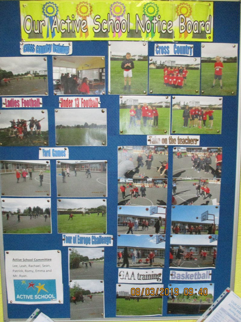 Active School notice board for informing everyone about our events