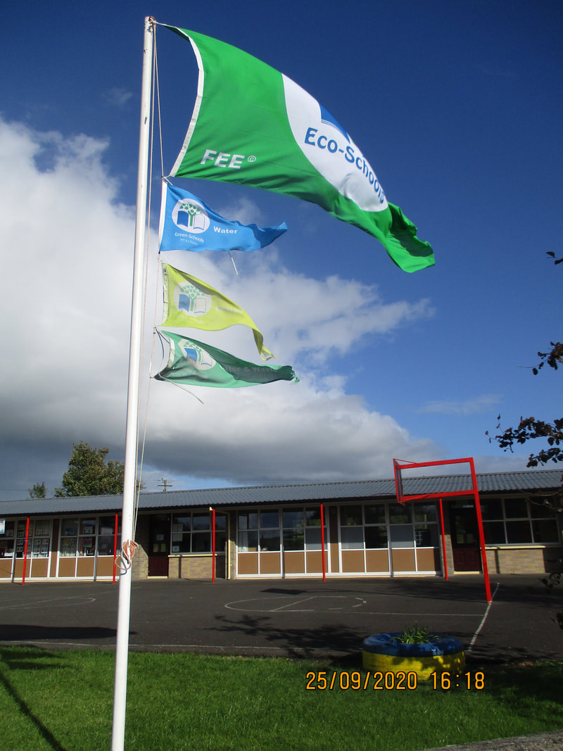 Green-Schools Litter and Waste and Energy Flags